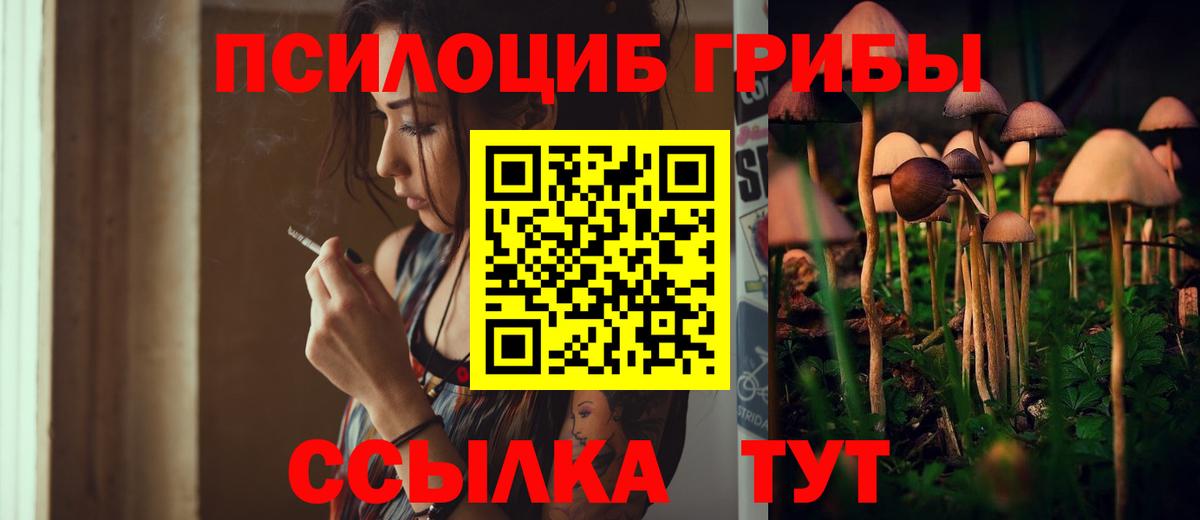 Галлюциногенные грибы GOLDEN TEACHER Богородск
